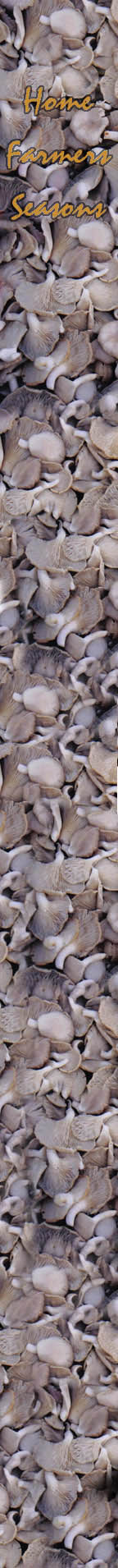 mushrooms